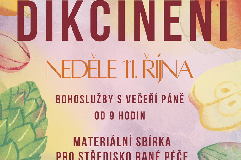 Neděle Díkčinění, materiální sbírka